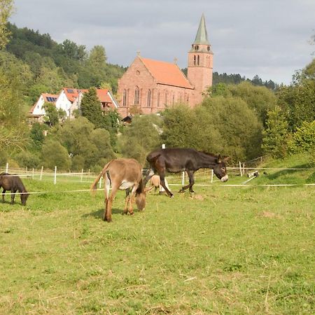 Ferienwohnung Spreter Zimmern ob Rottweil Kültér fotó