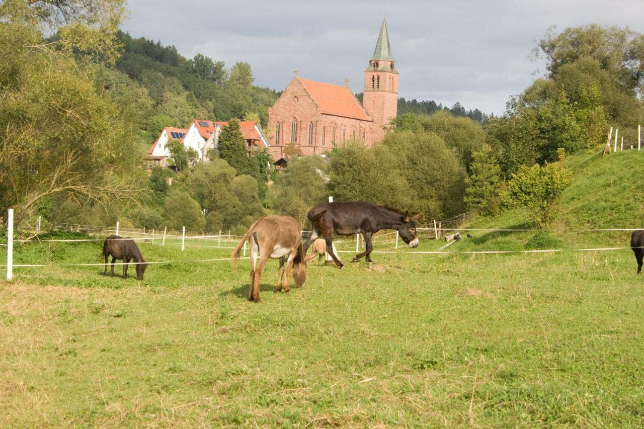 Ferienwohnung Spreter Zimmern ob Rottweil Kültér fotó
